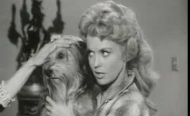The Beverly Hillbillies - Elly's Animals, S01E19 * Classic TV comedy Show