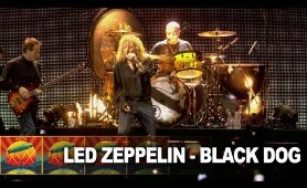 Led Zeppelin - Black Dog (Live at Celebration Day) (Official Video)
